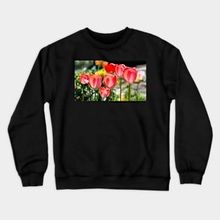 Red Tulips in the garden Crewneck Sweatshirt